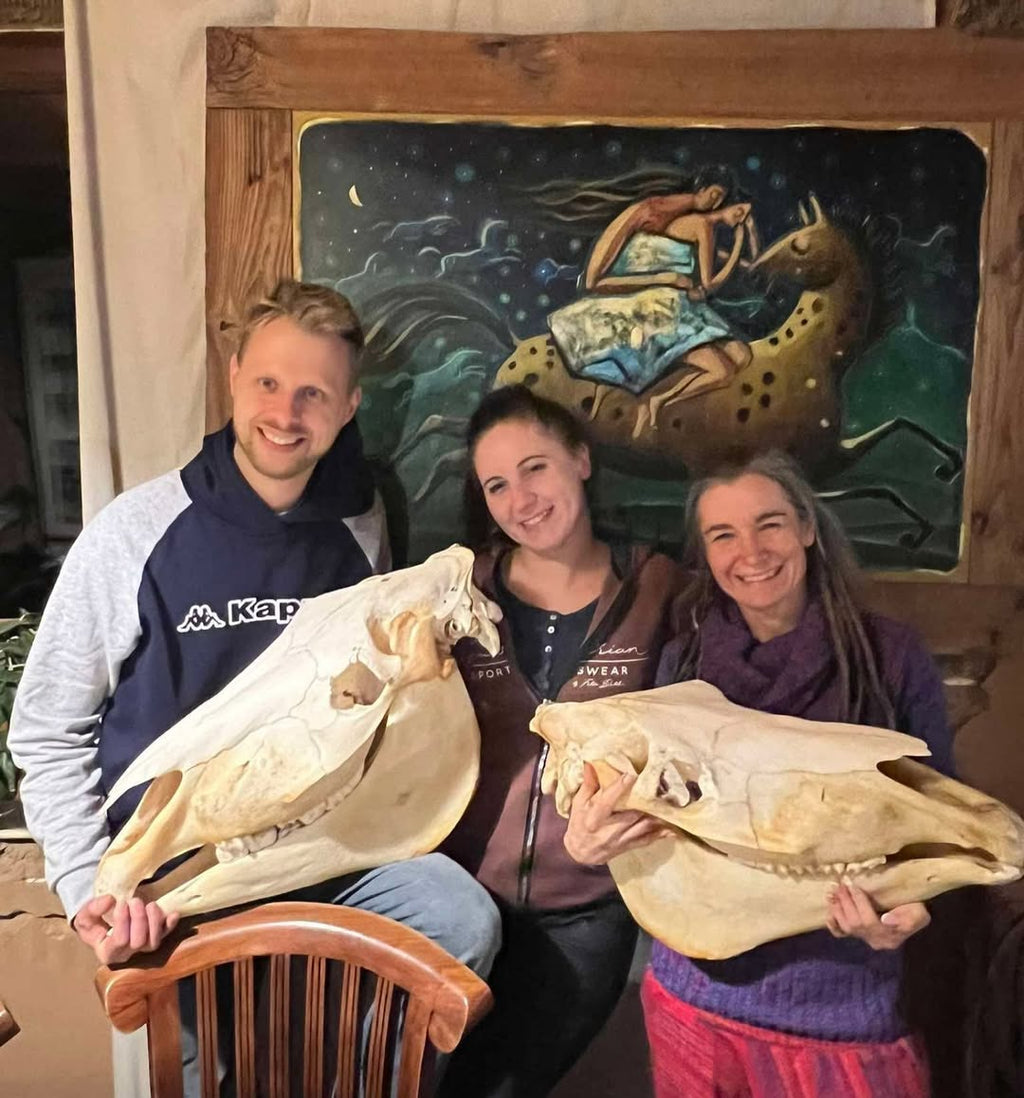 Sztuka Ukrywania Bólu – Czy Twój koń potrzebuje dentysty? Poziom 1