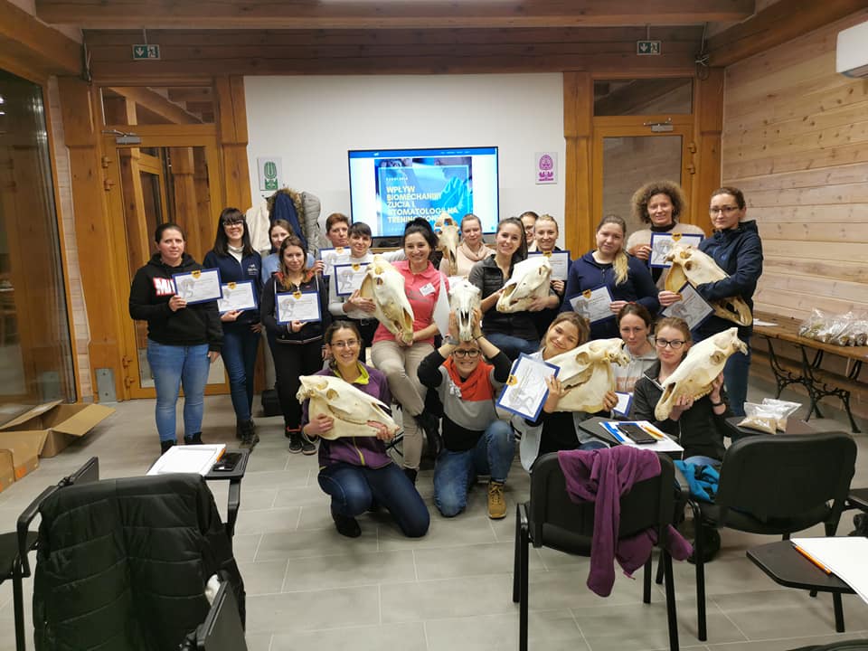 Sztuka Ukrywania Bólu – Czy Twój koń potrzebuje dentysty? Poziom 1