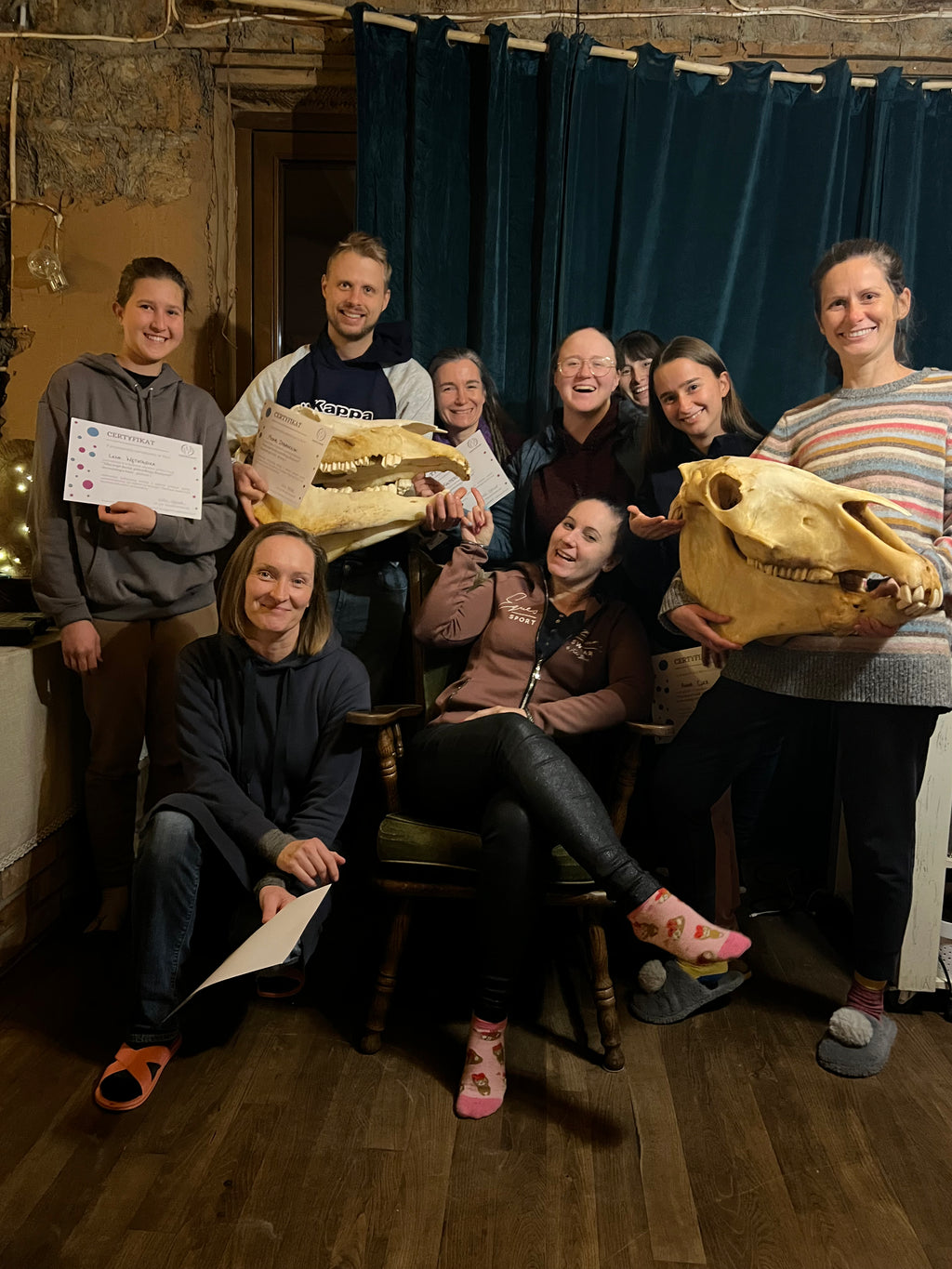 Sztuka Ukrywania Bólu – Czy Twój koń potrzebuje dentysty? Poziom 1