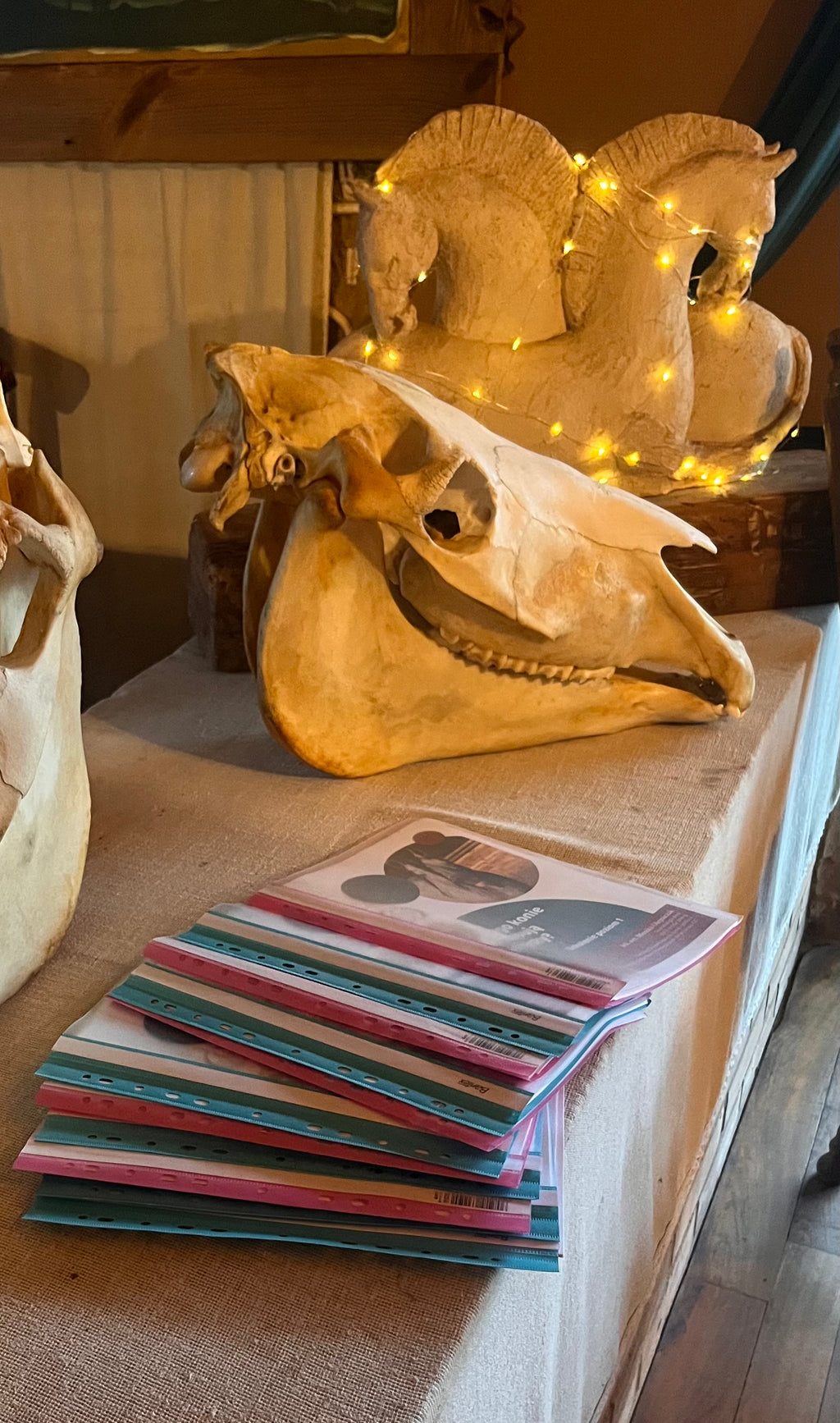 Sztuka Ukrywania Bólu – Czy Twój koń potrzebuje dentysty? Poziom 1