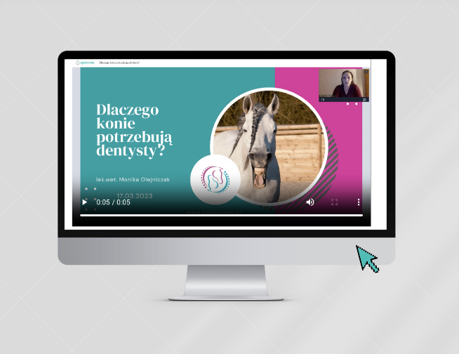 Dlaczego konie potrzebują dentysty?