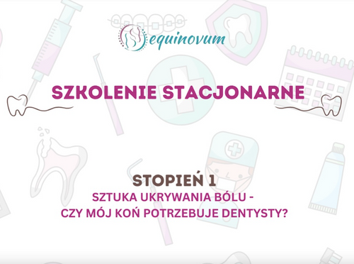 Sztuka Ukrywania Bólu – Czy Twój koń potrzebuje dentysty? Poziom 1